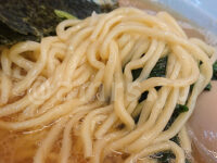 ラーメン 堀田家＠東京都千代田区 朝ラーメン 朝ラー 酒井製麺製のちぢれ中太麺