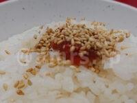 ラーメン 堀田家＠東京都千代田区 朝ラーメン ライス カスタマイズ 豆板醤 ごま