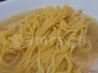 ラーメン 花@東京都八王子市 塩ラーメン ちぢれ中細麺