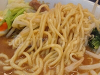 らーめん 谷瀬家＠東京都港区 豚骨みそらーめん 酒井製麺製のストレート中太麺