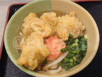 TOMBO（トンボ）＠東京都港区 とり天うどん 温 （並）