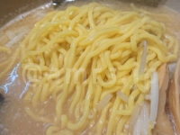 みそ処 麺屋 いっぱし＠東京都八王子市 いっぱしみそらーめん 大川製麺製ちぢれ中太麺