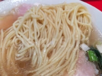 鳥藤とりそばスタンド グランスタ東京店＠東京都千代田区 むしどりそば ストレート中細麺