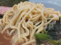 ラーメン 堀田家＠東京都千代田区 朝ラー・チャー×3+味玉・ライス少なめ 酒井製麺製のちぢれ中太麺