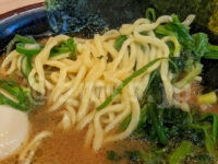 らーめん 尾又家＠東京都八王子市 レディースラーメン 酒井製麺製ちぢれ太麺 京都九条ネギ