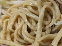 ラーメン二郎 めじろ台店@東京都八王子市 ミニラーメン 自家製ちぢれ気味太麺