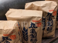 かけうどん（並）・ちくわ天・半熟たまご天・かしわ天＠丸亀製麺 日清製粉 小麦粉 丸亀製麺専用小麦粉