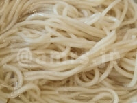 ハイデンコッコFACTORY 戦慄のワコマチカ＠東京都八王子市 戦慄の汐上湯らぁ麺 村上朝日製麺所製ストレート細麺