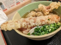 TOMBO（トンボ）＠東京都港区 とり天ちくわ天うどん 温 （並） ちくわ天 デカい」