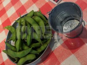 ビーフキッチンスタンド 新橋店 東京都港区 チャージ料金 枝豆 食べ放題