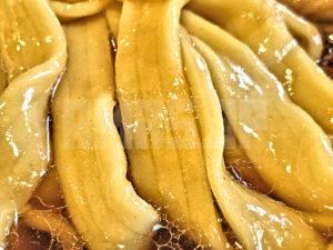 中華そば 鴨福 東京都八王子市 中華そば 醤油 三層麺