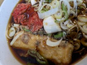 一由そば 東京都荒川区 温 太蕎麦 並盛 紅ショウガ（半分） ちくわ（半分） とり天 黒い汁