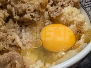ねぎだく牛丼 並盛 玉子 から揚げセット 吉野家 牛丼ツユダク 生玉子