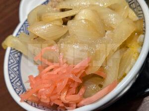 ねぎだく牛丼 並盛 玉子 から揚げセット 吉野家 牛丼ツユダク ねぎだく小鉢 真ねぎだく牛丼 紅ショウガ