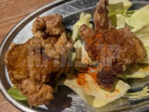 新時代 五反田西口店 90分飲み放題 新時代唐揚げ