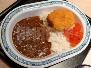 カレーショップ アルプス 八重洲地下街 タイムサービス カレーライス