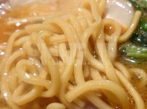 家系ラーメン 王道乃印 新橋店 ラーメン 王道家製ちぢれ気味太麺