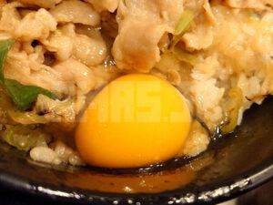 伝説のすた丼屋 八王子店 すた丼 元祖盛り 味変ツール 生卵