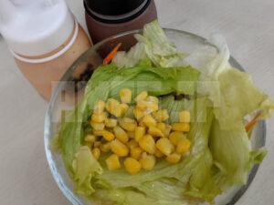 蒲田 松家カレー 生野菜サラダ