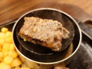 トマト＆オニオン 立川店 弾丸ハンバーグ ペレット良く焼き