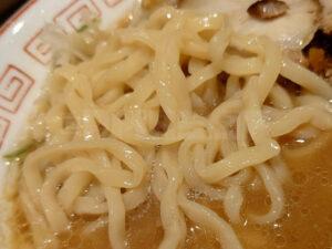 きたかた食堂 蔵出し味噌らーめん 平打ちぢれ太麺