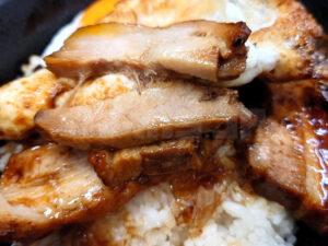 ニュー新橋ビル 豚大学 新橋校舎 焼豚玉子飯 焼豚