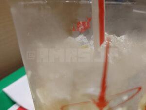 マクドナルド マックフィズ 和かんきつヨーグルト味 ジオングヘッド ラストシューティング